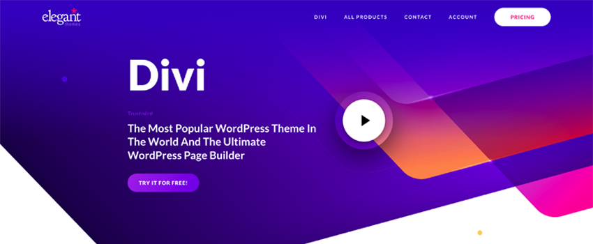 31 Examples of Awesome Websites Built with Divi (2023)