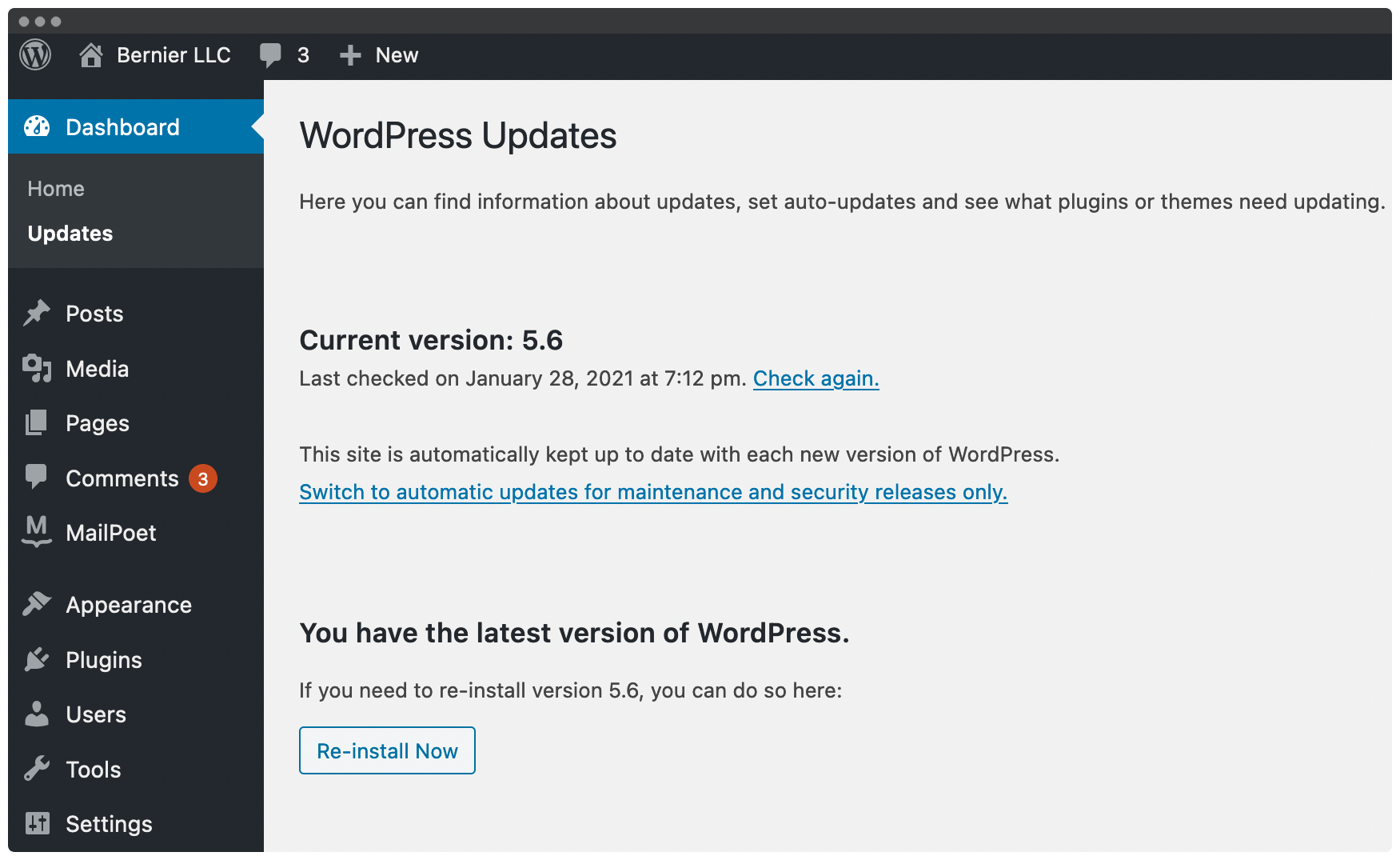 The WordPress Updates page. 
