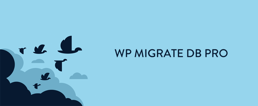 WP Migrate DB Pro Review – Simple WordPress Database Migration